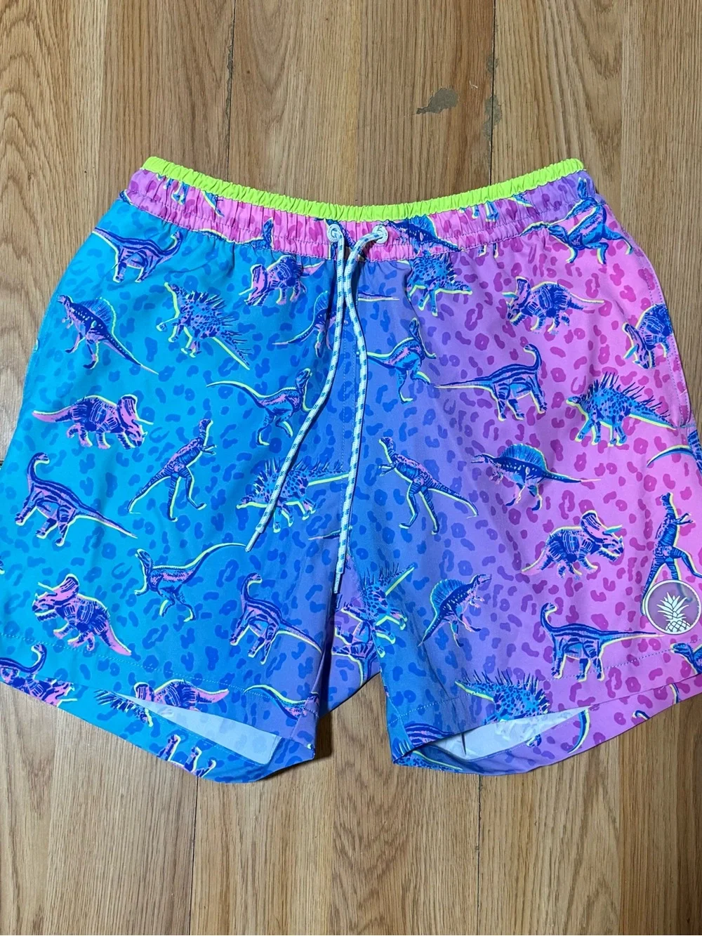 Chubbies Mens Dino Swim Trunks